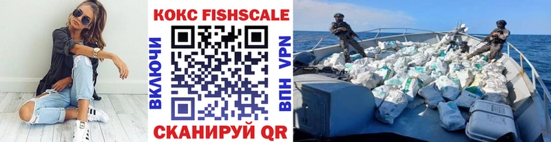 КОКАИН Fish Scale  кракен ссылки  Устюжна 