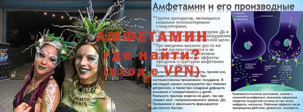 крисы Абаза