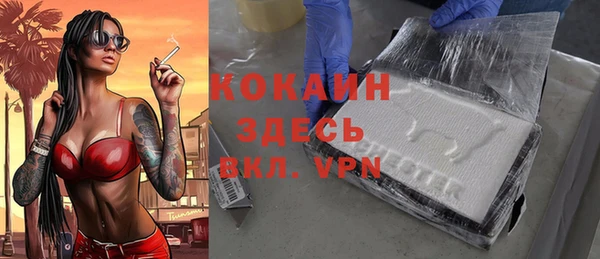 крисы Абаза
