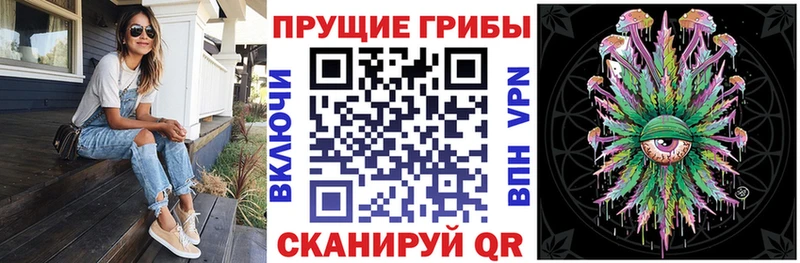 Галлюциногенные грибы Psilocybe  Устюжна 